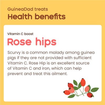 GuineaDad Rose Hip Treat Cups (100% All Natural)