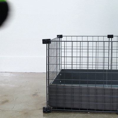 GuineaDad Piggy Condo Guinea Pig Cage with Pillars (C&C)